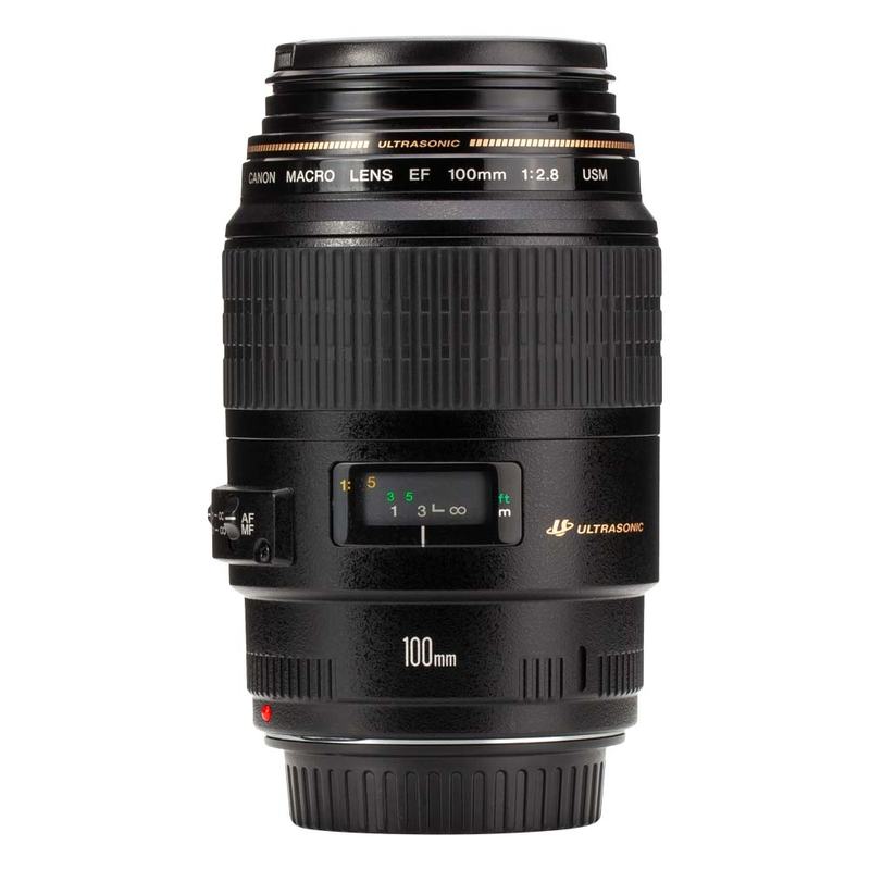 Canon 100mm Macro Lens