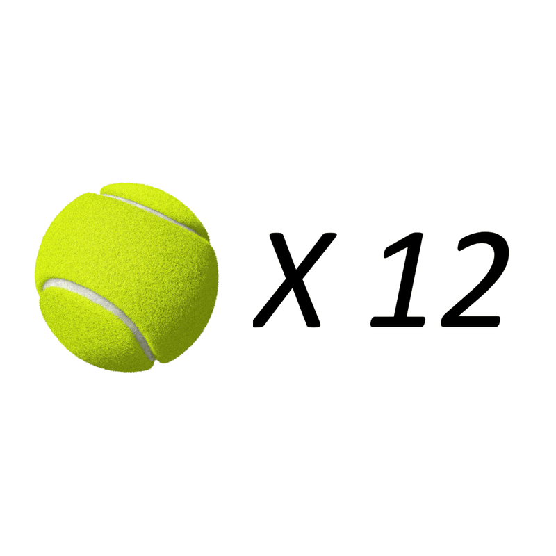 CV Tennisballen (12 stuks)